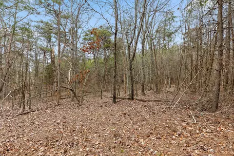 0 Crockett Pt, Sequatchie, TN 37374 photo 12