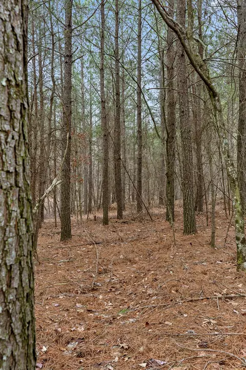 0 Crockett Pt, Sequatchie, TN 37374 photo 11