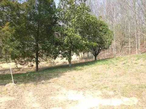 846 Deer Run Ln NW, Cleveland, TN 37311