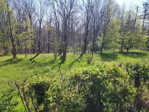 0 Davis Hollow Rd, Franklin, TN 37064