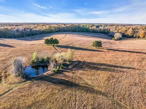 0 Wilson Hollow Rd, Mcewen, TN 37101 photo 19