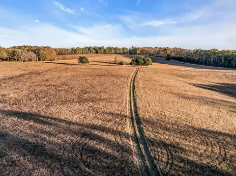 0 Wilson Hollow Rd, Mcewen, TN 37101 photo 22
