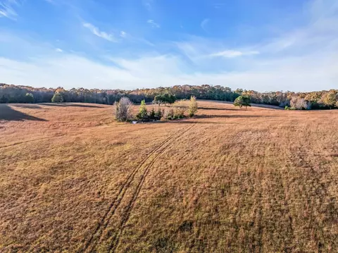 0 Wilson Hollow Rd, Mcewen, TN 37101 photo 18