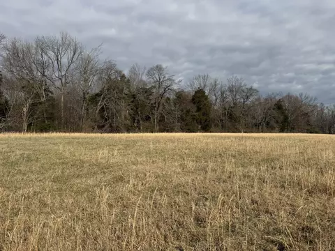 795 Mount Vernon Rd, Bethpage, TN 37022 photo 4