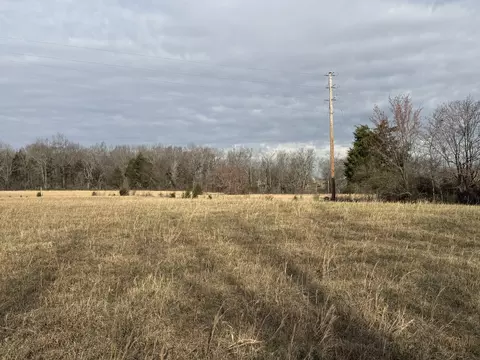795 Mount Vernon Rd, Bethpage, TN 37022 photo 5