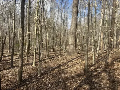 0 Mount Carmel Rd, Camden, TN 38320