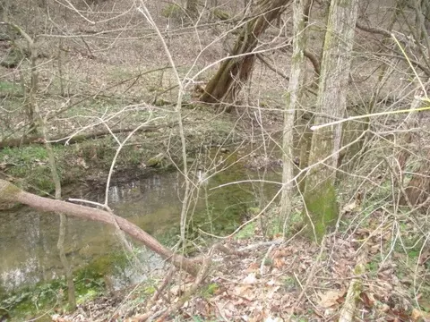0 Rogues Fork Creek Rd, Bethpage, TN 37022 photo 2
