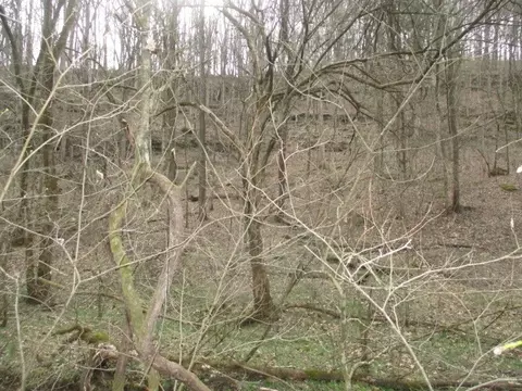 0 Rogues Fork Creek Rd, Bethpage, TN 37022 photo 4