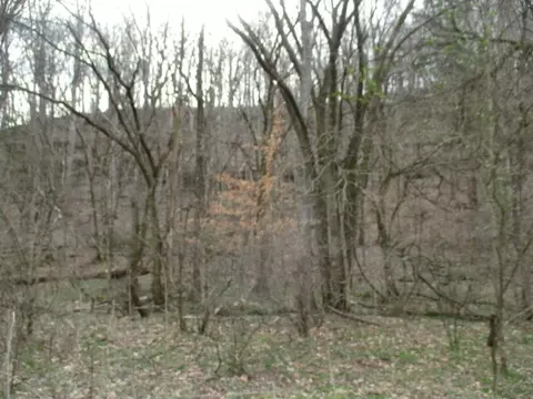 0 Rogues Fork Creek Rd, Bethpage, TN 37022