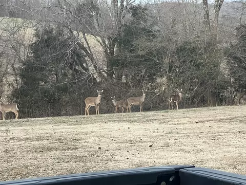 990 E Piney Rd, Dickson, TN 37055 photo 6