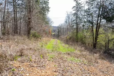 Other - 321 Old Sr 48, Centerville, TN 37033 photo 26 of 26