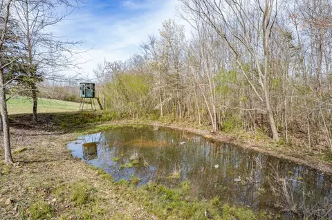 Other - 321 Old Sr 48, Centerville, TN 37033 photo 23 of 26