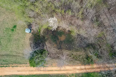 View/Area - 321 Old Sr 48, Centerville, TN 37033 photo 5 of 10