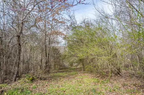 Other - 321 Old Sr 48, Centerville, TN 37033 photo 25 of 26