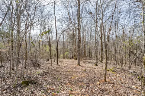 Exterior - 321 Old Sr 48, Centerville, TN 37033 photo 22 of 22