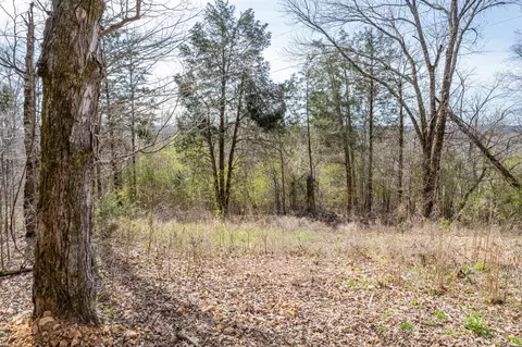 Exterior - 321 Old Sr 48, Centerville, TN 37033 photo 21 of 22