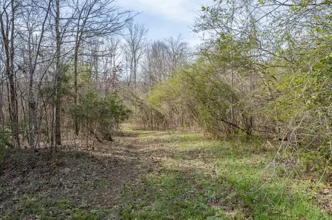 Exterior - 321 Old Sr 48, Centerville, TN 37033 photo 19 of 22