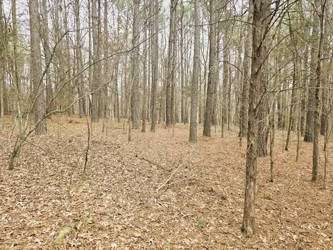 0 Zig Zag Rd, Big Sandy, TN 38221 photo 11