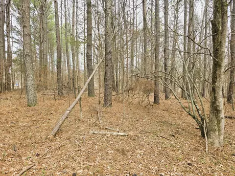 0 Zig Zag Rd, Big Sandy, TN 38221 photo 9
