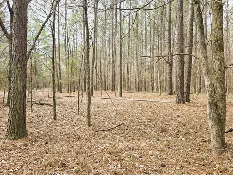 0 Zig Zag Rd, Big Sandy, TN 38221 photo 5