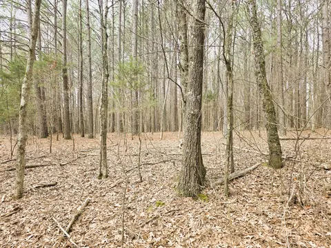 0 Zig Zag Rd, Big Sandy, TN 38221 photo 8