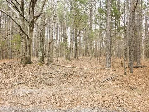 0 Zig Zag Rd, Big Sandy, TN 38221 photo 7