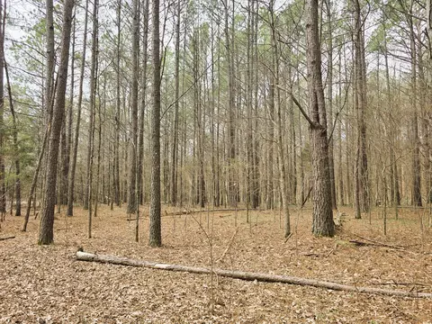 0 Zig Zag Rd, Big Sandy, TN 38221 photo 10