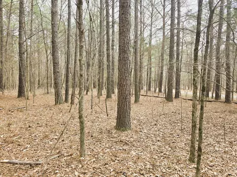 0 Zig Zag Rd, Big Sandy, TN 38221 photo 14