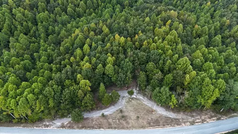 4439 Old Hohenwald Rd, Linden, TN 37096