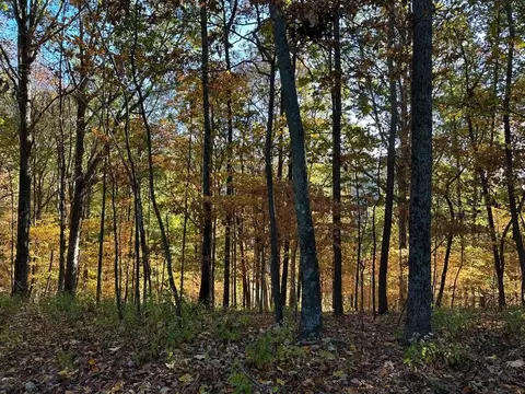 373 Old Hwy 18, Tennessee Ridge, TN 37178