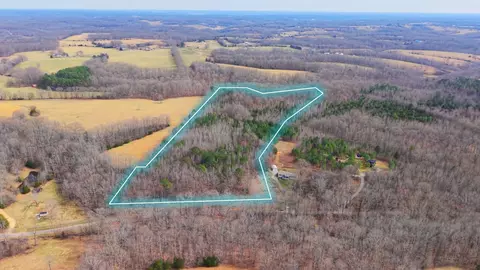 0 Tbd Davis Hollow Rd, Minor Hill, TN 38473