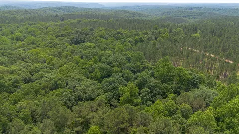 0 Mayfield Divide Rd, Centerville, TN 37033 photo 6
