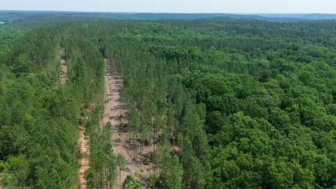 0 Mayfield Divide Rd, Centerville, TN 37033 photo 2