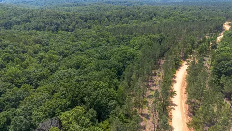 0 Mayfield Divide Rd, Centerville, TN 37033 photo 8