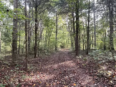 0 Waters Rd, Centerville, TN 37033