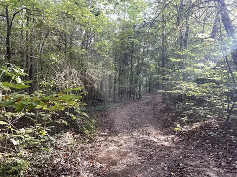 0 Waters Rd, Centerville, TN 37033 photo 5