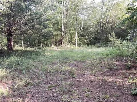 0 Waters Rd, Centerville, TN 37033 photo 10