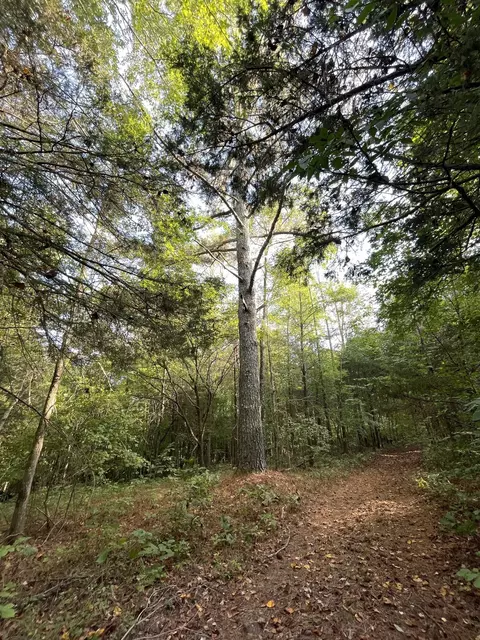 0 Waters Rd, Centerville, TN 37033 photo 8
