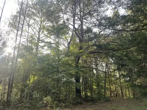 0 Waters Rd, Centerville, TN 37033 photo 17