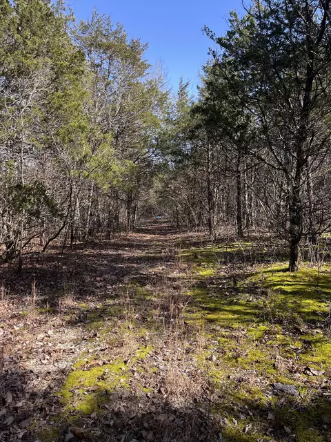 0 E Pitts Ln, Murfreesboro, TN 37130 photo 3