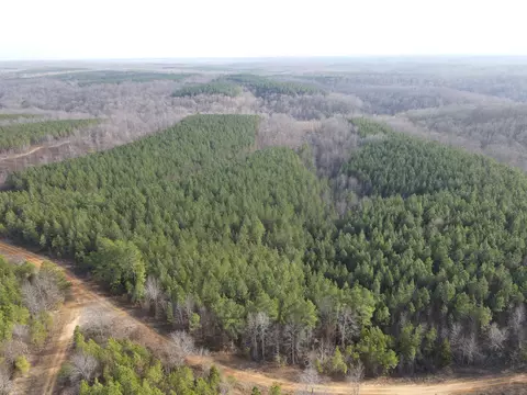 0 North Frk, Stewart, TN 37175