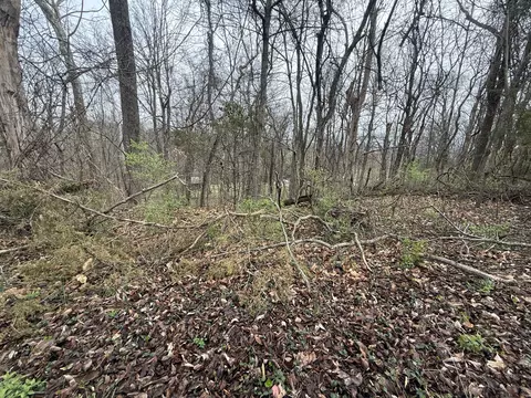 1915 Appomattox Dr, Lebanon, TN 37087