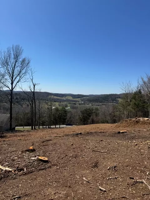 121 Matt Dr, Bell Buckle, TN 37020