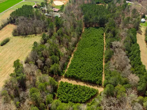 View/Area - 1321 Sand Mountain Rd, Ocoee, TN 37361 photo 11 of 12