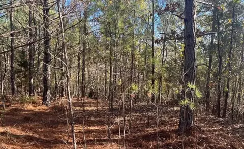 5030 Sand Mountain Rd, Enville, TN 38332