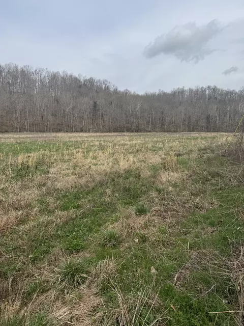 1234 Puncheon Creek Rd, Lafayette, TN 37083