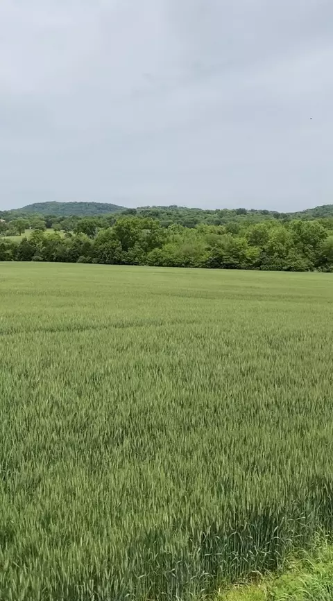 513 Suzanne Way, Bethpage, TN 37022