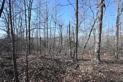 130 Wyatt Ln, Linden, TN 37096