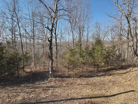146 Wyatt Ln, Linden, TN 37096
