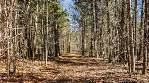 0 Fowler Rd, Beech Bluff, TN 38313